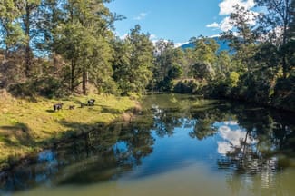 Rural / Farming commercial property for sale at 125 Jasper Creek Road Mount Seaview NSW 2446 Rural / Farming commercial property for sale at 125 Jasper Creek Road Mount Seaview NSW 2446