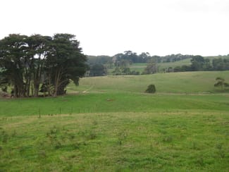 Rural / Farming commercial property for sale at 36 Reids Road Irishtown TAS 7330