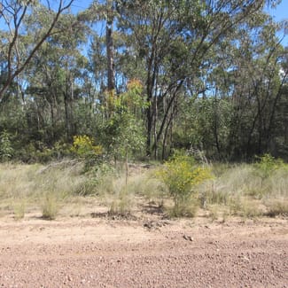 Rural / Farming commercial property for sale at Lot/113 Lewington Road Tara QLD 4421