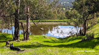 Rural / Farming commercial property sold at 6000 Great Northern Highway Bindoon WA 6502
