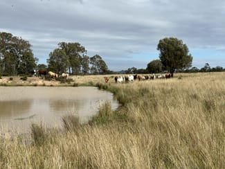 Rural / Farming commercial property sold at Lot 1 & 3 Kampfs Road Goombungee QLD 4354