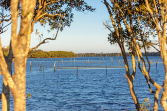 Rural / Farming commercial property for sale at 67 Pelican Bay Road Mitchells Island NSW 2430 Rural / Farming commercial property for sale at 67 Pelican Bay Road Mitchells Island NSW 2430