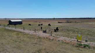 Rural / Farming commercial property sold at Lot 1 Brymaroo Irvingdale Road Brymaroo QLD 4403 Rural / Farming commercial property sold at Lot 1 Brymaroo Irvingdale Road Brymaroo QLD 4403