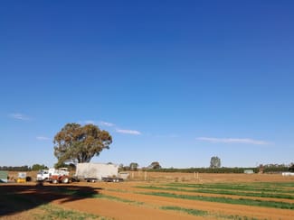 Rural / Farming commercial property for sale at Woorinen North VIC 3589 Rural / Farming commercial property for sale at Woorinen North VIC 3589
