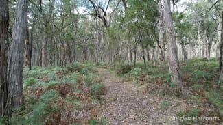 Rural / Farming commercial property for sale at "Myamyn West" Myamyn Road Hotspur VIC 3303