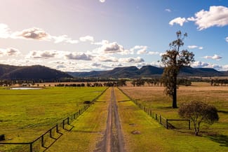 Rural / Farming commercial property sold at 100 Richmond Grove Road Sandy Hollow NSW 2333