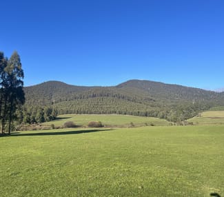 Rural / Farming commercial property for sale at . Powers Road Pyengana TAS 7216 Rural / Farming commercial property for sale at . Powers Road Pyengana TAS 7216