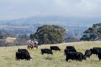 Rural / Farming commercial property sold at 'Bunyarra Range' 60 Bunyarra Lane Orange NSW 2800 Rural / Farming commercial property sold at 'Bunyarra Range' 60 Bunyarra Lane Orange NSW 2800