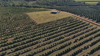 Rural / Farming commercial property for sale at Skyring Reserve QLD 4671 Rural / Farming commercial property for sale at Skyring Reserve QLD 4671