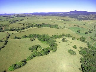 Rural / Farming commercial property for sale at Millaa Millaa QLD 4886 Rural / Farming commercial property for sale at Millaa Millaa QLD 4886