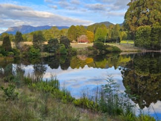 Rural / Farming commercial property for sale at 12384 Murchison Highway Rosebery TAS 7470 Rural / Farming commercial property for sale at 12384 Murchison Highway Rosebery TAS 7470