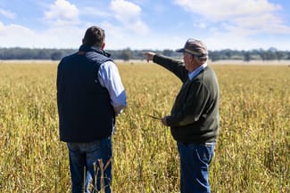 Rural / Farming commercial property sold at 936 Punchs Creek Road Punchs Creek QLD 4357
