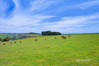 Rural / Farming commercial property sold at 201 Natone Road Stowport TAS 7321 Rural / Farming commercial property sold at 201 Natone Road Stowport TAS 7321