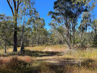 Rural / Farming commercial property sold at 323 Eureka Road Golden Fleece QLD 4621 Rural / Farming commercial property sold at 323 Eureka Road Golden Fleece QLD 4621
