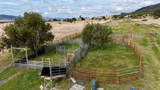 Rural / Farming commercial property for sale at The Wilgas/ Cobbadah Road Bingara NSW 2404 Rural / Farming commercial property for sale at The Wilgas/ Cobbadah Road Bingara NSW 2404