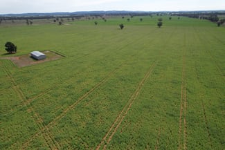 Rural / Farming commercial property for sale at "Ben Hall Park" Yarrangong Road Forbes NSW 2871