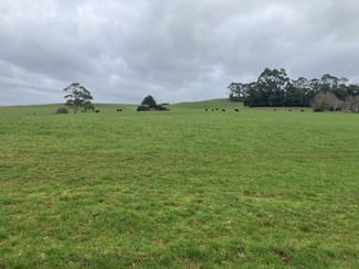 Rural / Farming commercial property for sale at 16797 Bass Highway Flowerdale TAS 7325 Rural / Farming commercial property for sale at 16797 Bass Highway Flowerdale TAS 7325