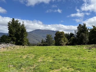 Rural / Farming commercial property for sale at 1390 Loongana Road Loongana TAS 7315