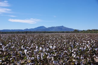Rural / Farming commercial property sold at 788 Couradda Road Narrabri NSW 2390