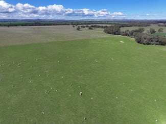 Rural / Farming commercial property sold at 'Runnymede' 214 Milvale Rd Stockinbingal NSW 2725 Rural / Farming commercial property sold at 'Runnymede' 214 Milvale Rd Stockinbingal NSW 2725