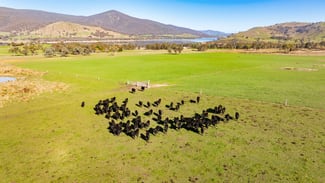 Rural / Farming commercial property sold at 'Boxbourne North'/2445 Wymah Rd Wymah NSW 2640