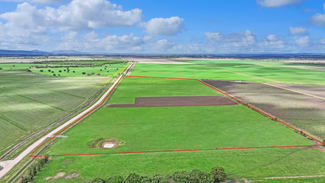 Rural / Farming commercial property sold at 12 Fowler Road Beelbangera NSW 2680