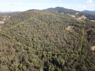 Rural / Farming commercial property sold at 85 Misty Ridge Road Bellangry NSW 2446 Rural / Farming commercial property sold at 85 Misty Ridge Road Bellangry NSW 2446