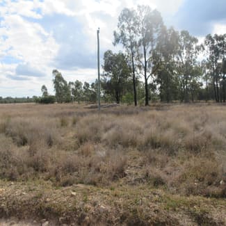 Rural / Farming commercial property for sale at 275 Kofoeds Road Tara QLD 4421 Rural / Farming commercial property for sale at 275 Kofoeds Road Tara QLD 4421