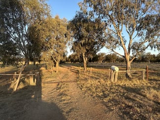 Rural / Farming commercial property for sale at Lot 133 Troths Lane Quandialla NSW 2721 Rural / Farming commercial property for sale at Lot 133 Troths Lane Quandialla NSW 2721