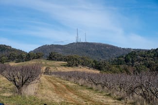 Rural / Farming commercial property sold at 'Tullmax Lodge' Lot 2 103 Old Canobolas Road Orange NSW 2800 Rural / Farming commercial property sold at 'Tullmax Lodge' Lot 2 103 Old Canobolas Road Orange NSW 2800