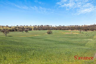 Rural / Farming commercial property sold at Lot 50 Fendlers Road Tungkillo SA 5236 Rural / Farming commercial property sold at Lot 50 Fendlers Road Tungkillo SA 5236