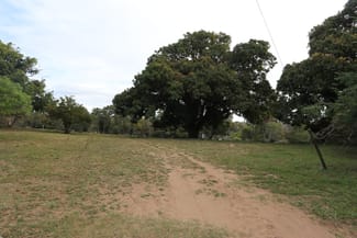Rural / Farming commercial property sold at 0 JOSKELEIGH RD, Joskeleigh QLD 4702 Rural / Farming commercial property sold at 0 JOSKELEIGH RD, Joskeleigh QLD 4702