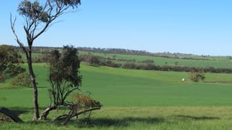 Rural / Farming commercial property sold at Wongamine Goomalling-Toodyay Road Goomalling WA 6460 Rural / Farming commercial property sold at Wongamine Goomalling-Toodyay Road Goomalling WA 6460