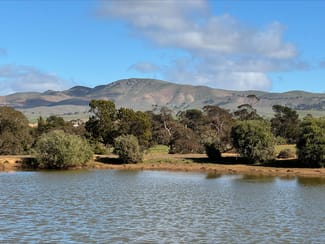 Rural / Farming commercial property sold at Lot 74 Mount Bryan East Road Mount Bryan East SA 5419 Rural / Farming commercial property sold at Lot 74 Mount Bryan East Road Mount Bryan East SA 5419