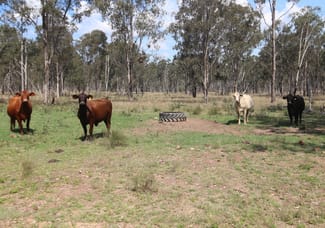 Rural / Farming commercial property sold at Lot D Mundubbera Durong Road Brovinia QLD 4626 Rural / Farming commercial property sold at Lot D Mundubbera Durong Road Brovinia QLD 4626