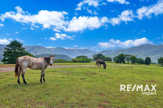 Rural / Farming commercial property sold at 332 Goldsborough Road Goldsborough QLD 4865 Rural / Farming commercial property sold at 332 Goldsborough Road Goldsborough QLD 4865
