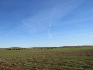 Rural / Farming commercial property sold at "Averies" Chapman Road Coomooroo SA 5431
