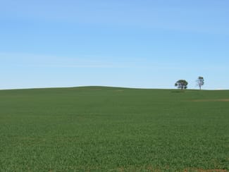 Rural / Farming commercial property sold at Lot 91 Chapman Road Walloway SA 5431