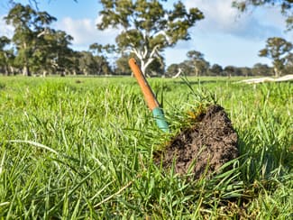 Rural / Farming commercial property for sale at 344 Krongart Road Penola SA 5277