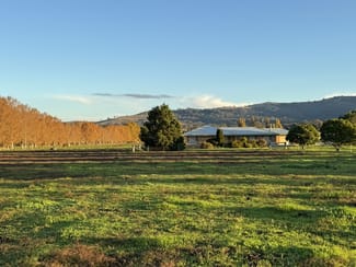 Rural / Farming commercial property sold at "Inglewood" 5985 New England Highway Murrurundi NSW 2338