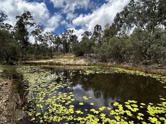 Rural / Farming commercial property sold at 241 Bruxner Road Drake NSW 2469