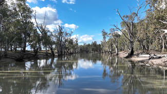 Rural / Farming commercial property sold at Cumnock Park Brassi Road Deniliquin NSW 2710