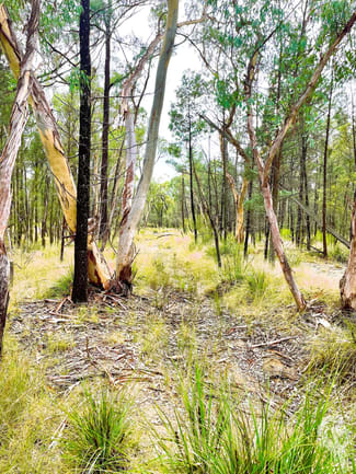 Rural / Farming commercial property sold at 7/1037 Westport Road Jacks Creek NSW 2390 Rural / Farming commercial property sold at 7/1037 Westport Road Jacks Creek NSW 2390