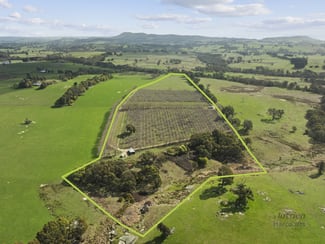Rural / Farming commercial property sold at 699 Ankers Road Strathbogie VIC 3666 Rural / Farming commercial property sold at 699 Ankers Road Strathbogie VIC 3666