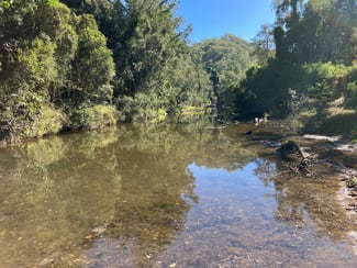 Rural / Farming commercial property sold at Blue Mountain QLD 4737 Rural / Farming commercial property sold at Blue Mountain QLD 4737