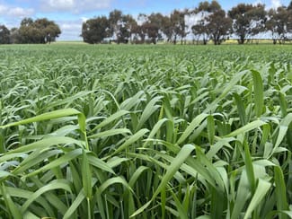 Rural / Farming commercial property sold at Pat's Corner/851 Shepherd Road Kwolyin WA 6385
