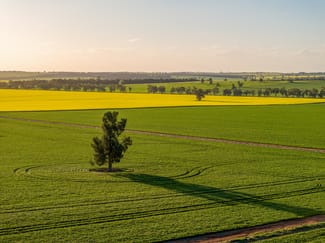 Rural / Farming commercial property sold at 'Green Hills' 146 Seventeen Mile Mail Road Marrar NSW 2652 Rural / Farming commercial property sold at 'Green Hills' 146 Seventeen Mile Mail Road Marrar NSW 2652