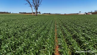 Rural / Farming commercial property sold at 5670 Soldiers Road West Holleton WA 6369 Rural / Farming commercial property sold at 5670 Soldiers Road West Holleton WA 6369