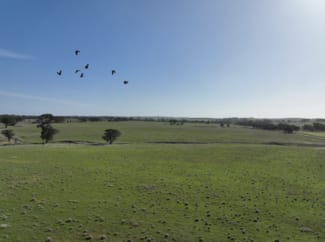 Rural / Farming commercial property sold at 0 Berrimal-Nine Mile Road Nine Mile VIC 3518 Rural / Farming commercial property sold at 0 Berrimal-Nine Mile Road Nine Mile VIC 3518
