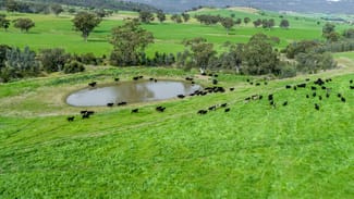 Rural / Farming commercial property sold at 'Peberdy' 511-513 Dalswinton Rd Denman NSW 2328 Rural / Farming commercial property sold at 'Peberdy' 511-513 Dalswinton Rd Denman NSW 2328